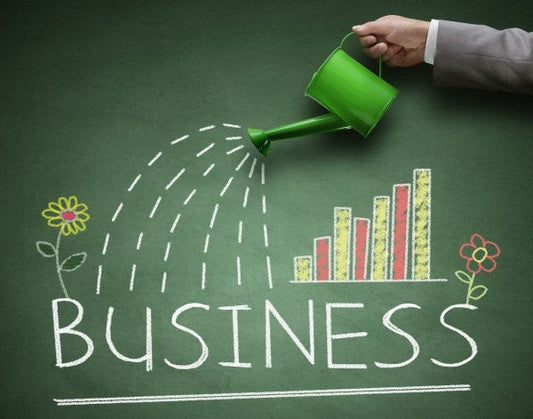 From Idea to Action: Steps to Launch Your First Business